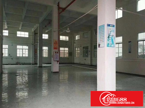 出租龙岗区横岗4200平米独门独院厂房