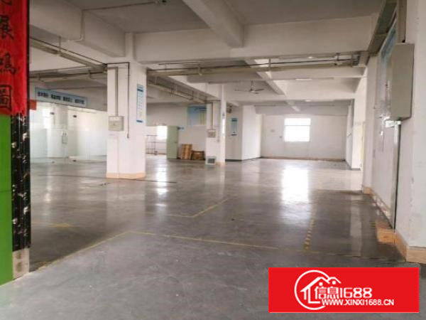 （非中介）一手房东红本厂房直招租水电到齐即租即用送空中花园