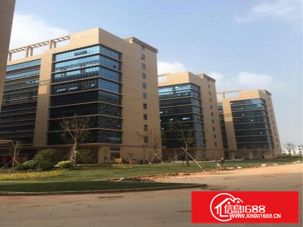 凤岗镇高新科技园研发中心及微创基地厂房按需出租