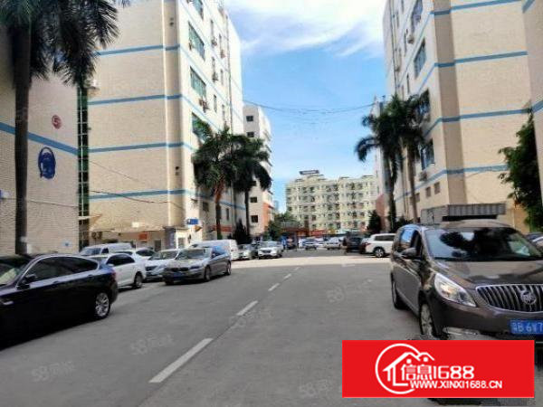 石岩西丽应人石旁，原房东整层1500平方，带有结净车间