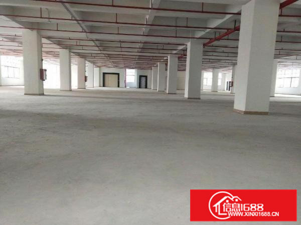 大朗（原房东）厂房出租/可办环评