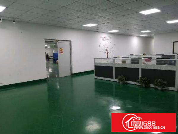 光明松柏路边上新出1500平精装修厂房，面积实在，易招工