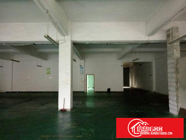 布吉大芬一楼5米高标准厂房600平方出租