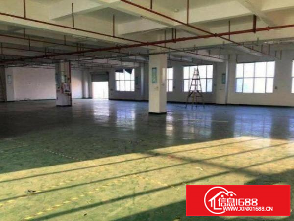 超朗楼上标准厂房600平招租，有地坪漆消防喷淋，入驻及生产