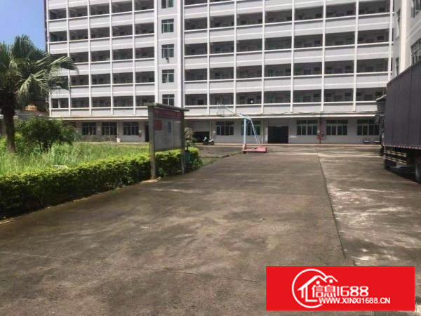 大岭山标准独门精装修独院厂房13800平米