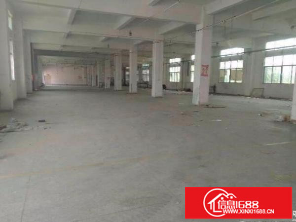 龙岗坪地新出一楼350平方原房东无公摊的厂房出租