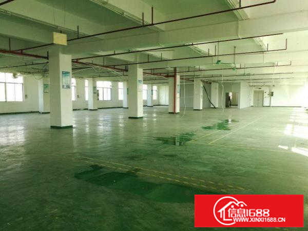 平南高速出口新出独院厂房10900平一到五层