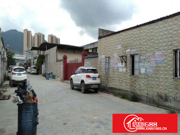 独家原房东钢构小独院1000平米，宿舍300平米