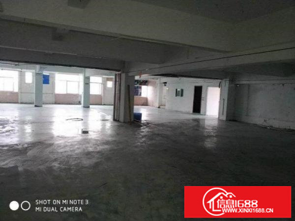 松岗大田洋2160平厂房火热出租，可分割，价格实惠