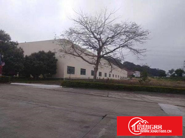 清溪三中靠凤岗滴水10米钢构空地超大