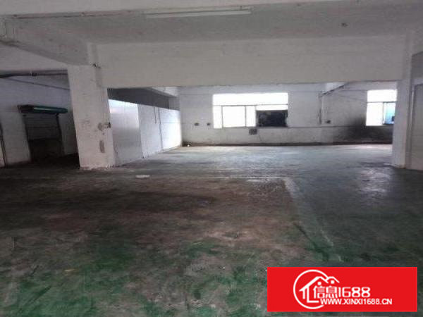 清溪镇铁松刷绿色地坪漆厂房出生650平带办公室