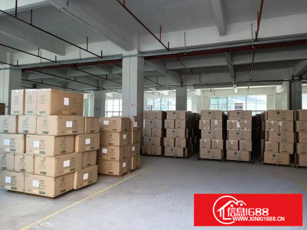 东莞凤岗冻库电商物流仓库电子厂房出租2万平可分层出租