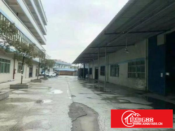 高埗独院单一层滴水11米高带独立办公楼豪华装修5000平方出