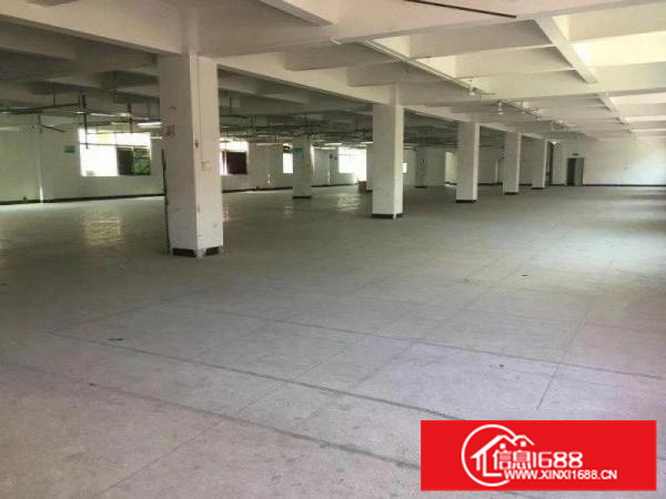 园洲厂房出租，5005000平都有，证件齐全，随时看房