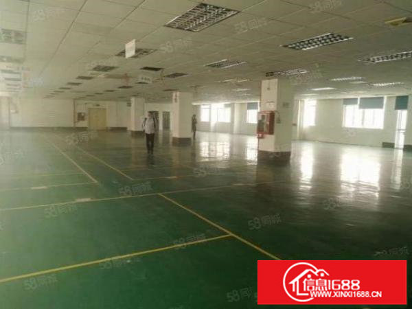 百鸽笼工业区新出厂房385平561平886平200