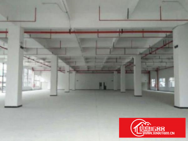 万江简沙洲独院标准厂房分租一楼500平方出租