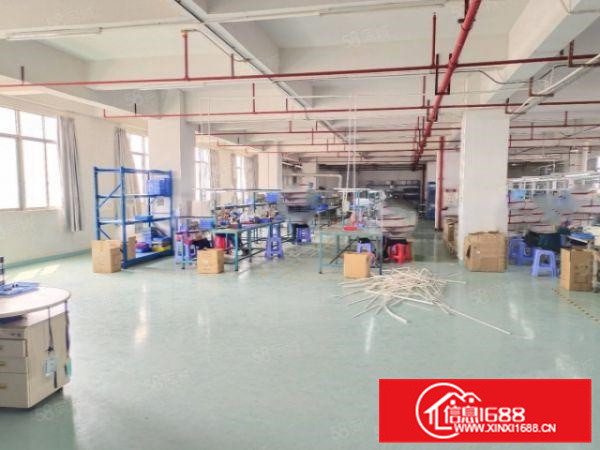 有证北滘园区550方标准厂房出租价格便宜A