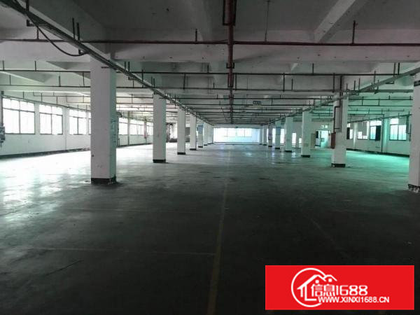 原房东独栋1-2层实际面积出租，带消防喷淋，价格便宜。