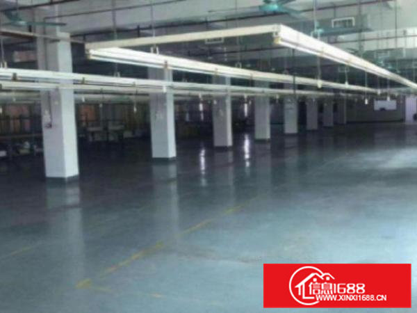 高埗工业园分租楼上靓车间2500平方，带精装办公室