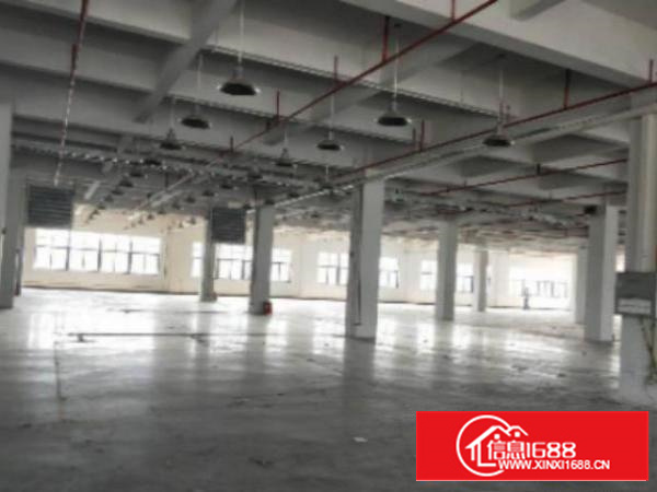 万江标准1500平方800或1000㎡出租交通方便