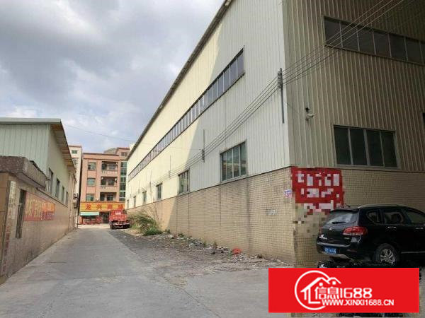 出租大朗富民大道11米高厂房1800平方