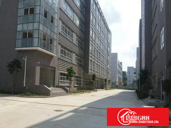 真实房源宝龙5楼厂房3300平方带装修及电梯可分租