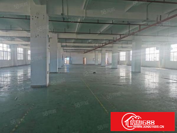 福永会展中心1900平原房东精装低于市场价出租