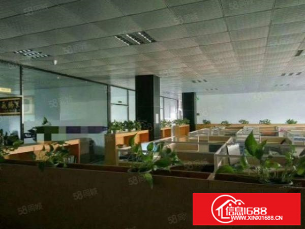 好招工可办环评容桂标准1500方带精装修a