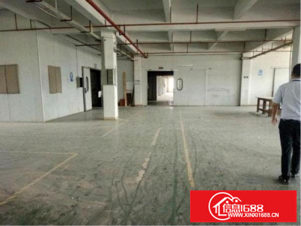 新圩高速口附近原房东独院三层厂房招租可实量800平空地500