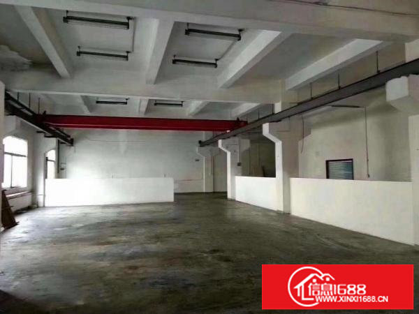 沙井新出一楼3660平带装修无转让费厂房招租