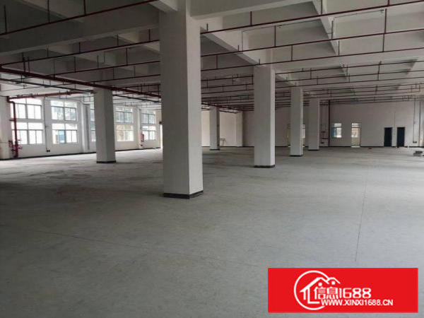 新四新出全新厂房原房东1500平方300起分