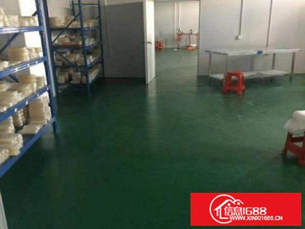 松岗江边1000平方带无尘车间厂房出租