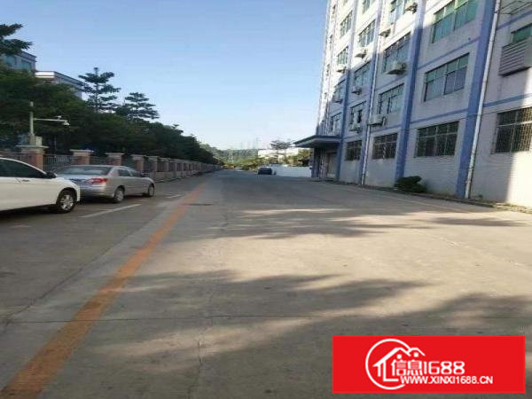 坂田上雪科技园一楼1350平空地大