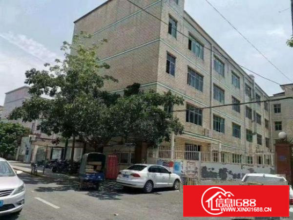坪山区石井独门独院四层厂房5600平米及宿舍1900平米招租