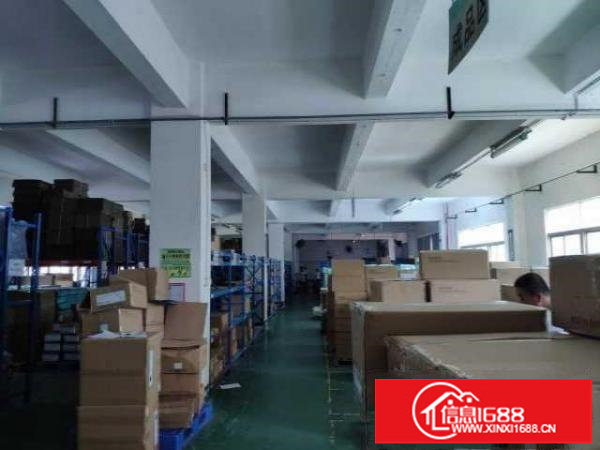 松岗洪桥头新出独院原房东厂房3300平方有红本带装修实际面积