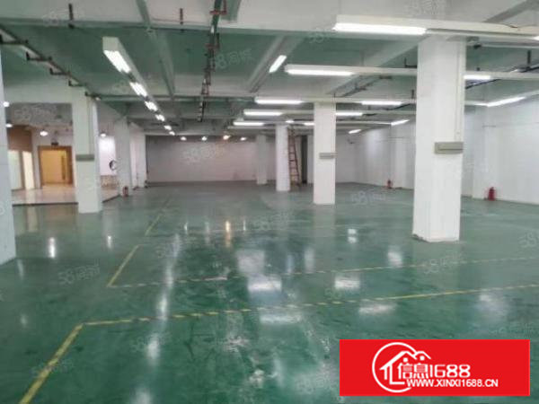 塘厦镇标准厂房1300平精装修地坪漆水电到车间现成办公室