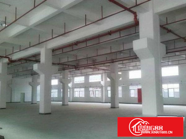 石排赤坎带现成牛角厂房分租一楼1200平方形象好