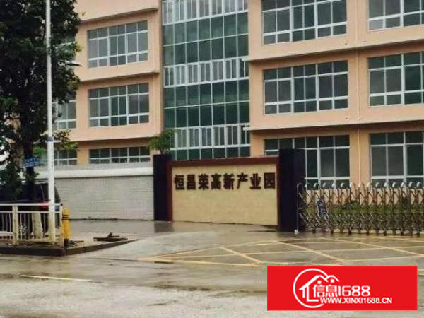 沙井高速出口高新产业园新厂房豪华装修