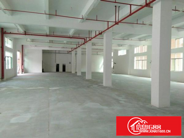 惠阳镇隆长龙工业园全新标准厂房4880平原房东招租