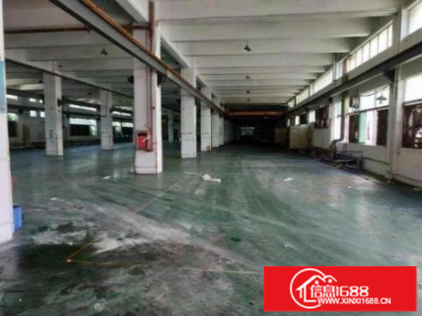 坪山区坑梓大型工业区新出一楼1000平实际面积出租
