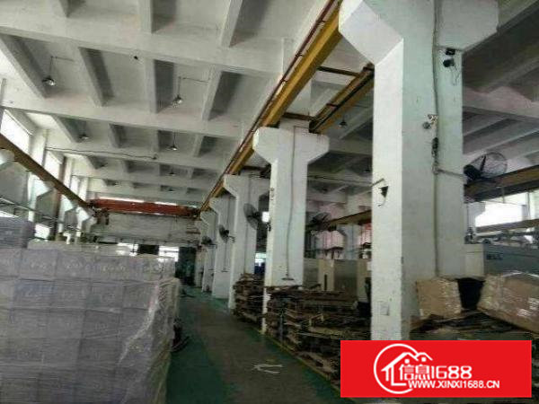 石排镇新出标准小独院2200平方出租有现成办公室