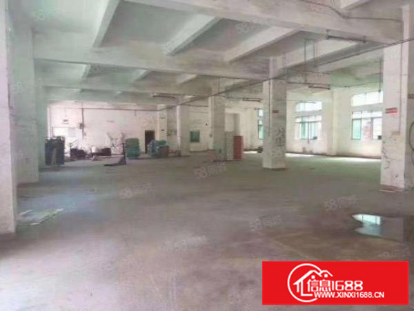 龙岗坪地中心村1600平独栋厂房共两层每层800平