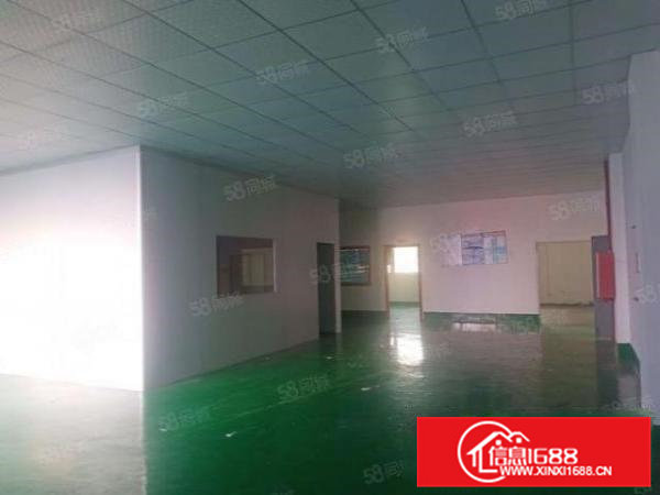 大岭山新出楼上1000无尘车间，主线地坪水电齐全