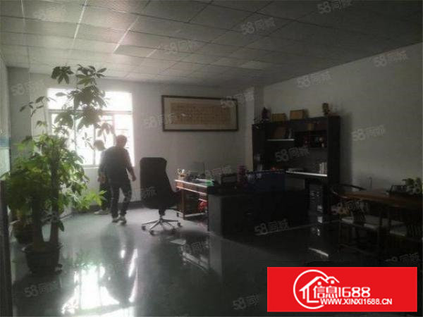 大朗洋坑塘新主路边新出3000方滴水5.5米带装修厂房