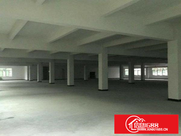 凤岗全新厂房1000现成办公室适合各行业