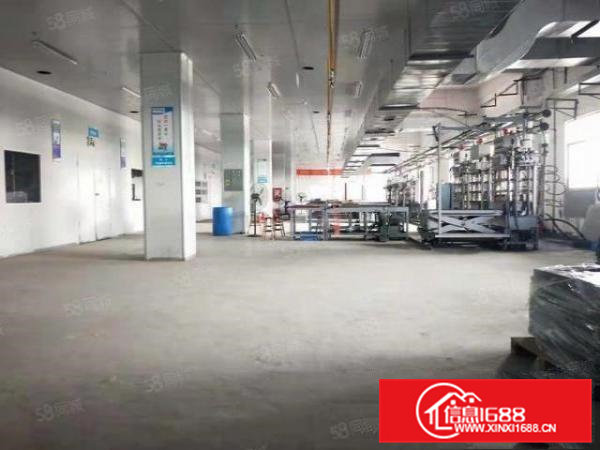 清溪大利11000平方独院标准厂房出租