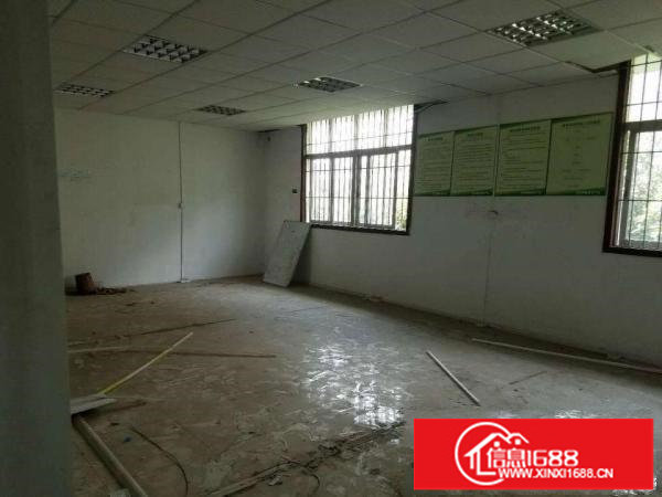 坂田吉华路电商办公仓1200带装修（免佣）