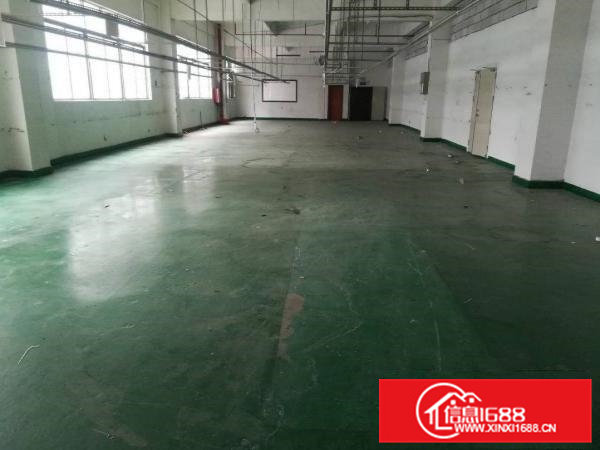 凤岗油甘埔新出带办公室装修，800平米彩光非常好