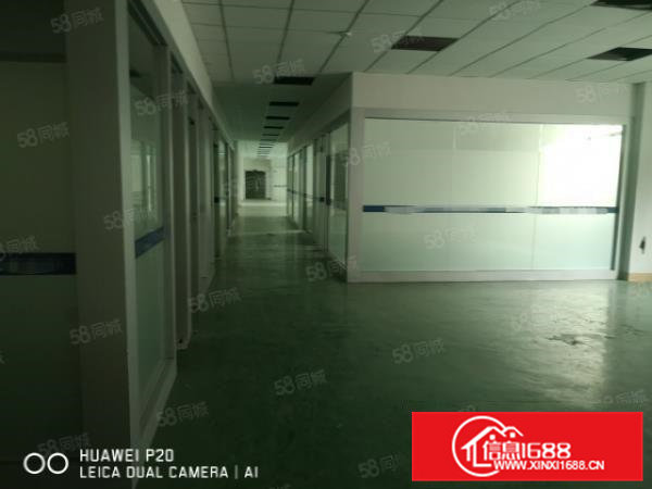 实图）大朗巷头经典独院厂房7000平2栋厂房，带地坪漆可分租