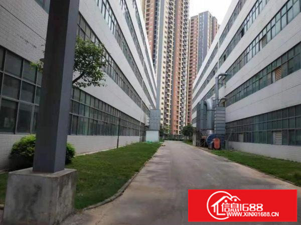 出租坪山新区坑梓新出原房东64000平有红本带消防喷淋